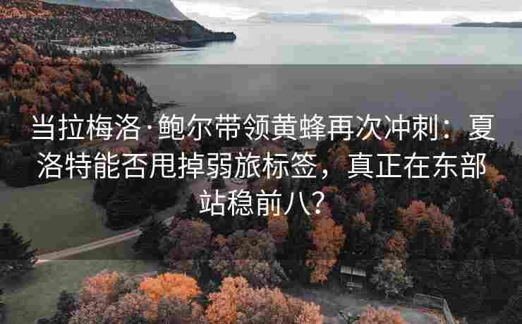 当拉梅洛·鲍尔带领黄蜂再次冲刺:夏洛特能否甩掉弱旅标签,真正在东部站稳前八?