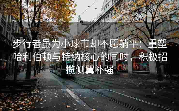 步行者虽为小球市却不愿躺平:重塑哈利伯顿与特纳核心的同时,积极招揽侧翼补强 步行者虽为小球市却不愿躺平:重塑哈利伯顿与特纳核心的同时,积极招揽侧翼补强