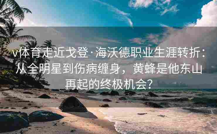 v体育走近戈登·海沃德职业生涯转折:从全明星到伤病缠身,黄蜂是他东山再起的终极机会?