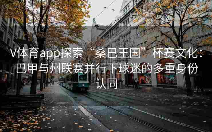 V体育app探索“桑巴王国”杯赛文化:巴甲与州联赛并行下球迷的多重身份认同