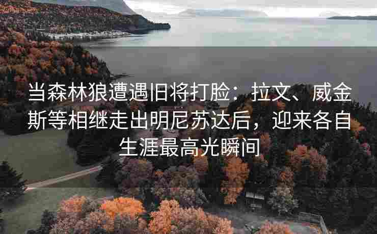 当森林狼遭遇旧将打脸:拉文、威金斯等相继走出明尼苏达后,迎来各自生涯最高光瞬间